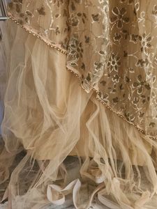 Elegant Embellished Lehenga Choli Set