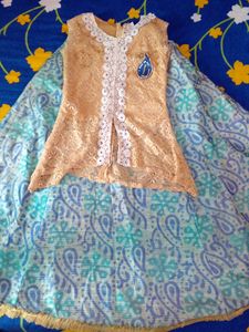 Lehenga And Crop Top