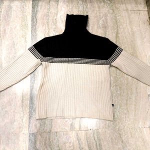 Sweater 🫣 (  Woolen ) 🦙
