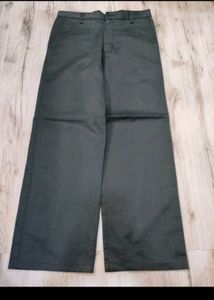 Sc0355 Plant Formal Pants Size 34