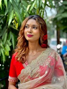 Elegant Embroidered Saree