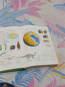 Visual Dictionary