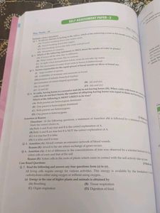 Oswall Question Bank With Sample Papers