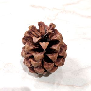 1 Pc Pine Cone Decorative