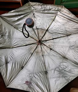 Umbrella