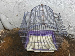 Small Bird Cage