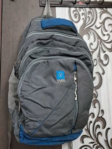 Huge School/laptop BAG