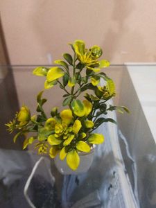 Set Of 10 Mini Artificial Plants.