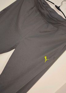Grey Lower