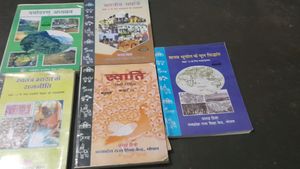 12th Books...of 5 Books