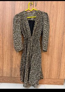 Leopard Print Mini Dress