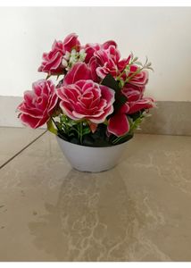 Set Of 5 Artificial Plants
