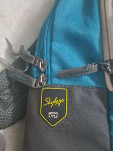 Skybags Blue Backpack