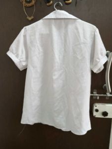 Formal Blouse