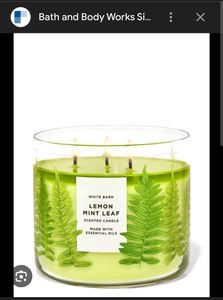 🌟BBW Candles🌟