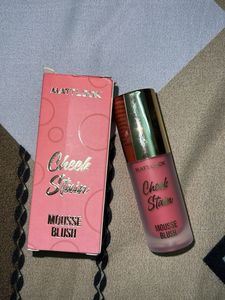 MATTLOOK Cheek Stain SHADE: 02 GO PINK