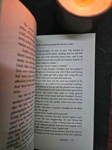 Novel