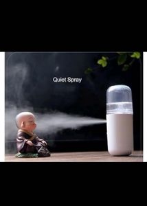 Nano Facial Mist Sprayer