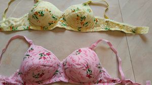 New Pack Of 3 Women Bra