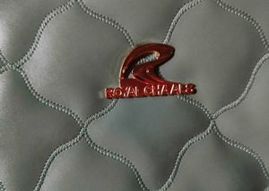 women&#39;s sling bag (new without tag)