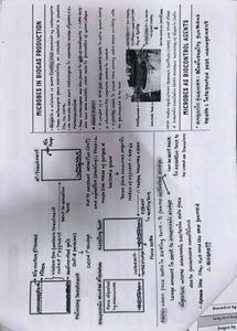 Microbes in Human Welfare Study Sheet