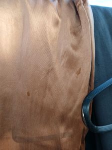 Brown Wide Leg Pants