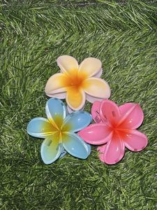 Floral Hair Clips