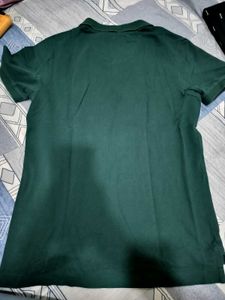 U.S. Polo Assn. Green T Shirt