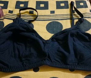Shilpa Lingerie Briefs ( Pack Of 3)