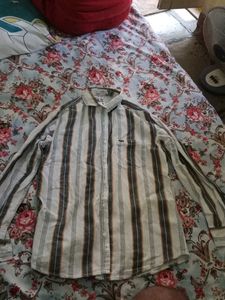 shirt, t-shirt