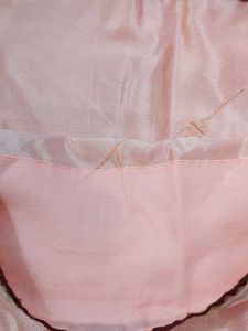 Peach Saree with Sequins