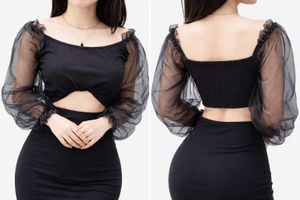 Chic Black Crop Top - Sheer Sleeves