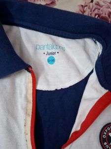 Stylish Polo T-Shirt - Blue &amp; White