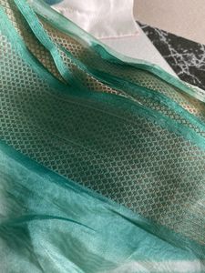 Organza Saree