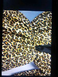 Leopard Print Mini Dress