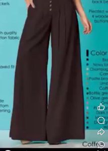 Brown Wide Leg Pleated Pants