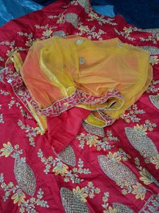 Pink Embroidered Lehenga Choli
