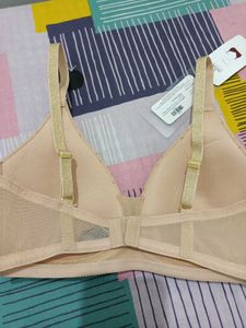 Padded Bra
