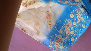 Beautiful Saree 💙