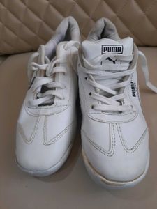 BMW Puma Roma Shoes