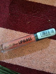 Shine & Plump Lip Gloss