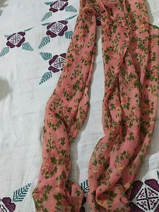Sharara Suit