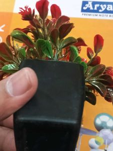 Small Artificial Potted Plant