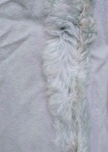 Stylish fur coat