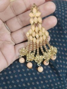 Elegant Dangle Earrings