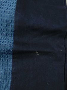 Biba Women Blue Printed Cotton Mix Straight Kurta