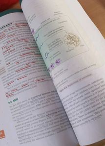 PRICE DROP-Class 12 NCERT Biology Textbook