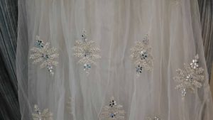 Elegant Embellished Lehnga Choli
