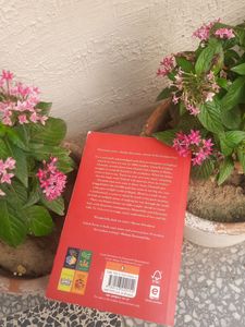 The Professional Novel By Ashok Ferrey