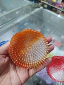 Round Comb Discount For Today Only